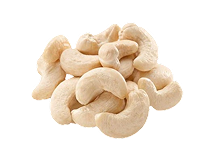 Cashew Nut